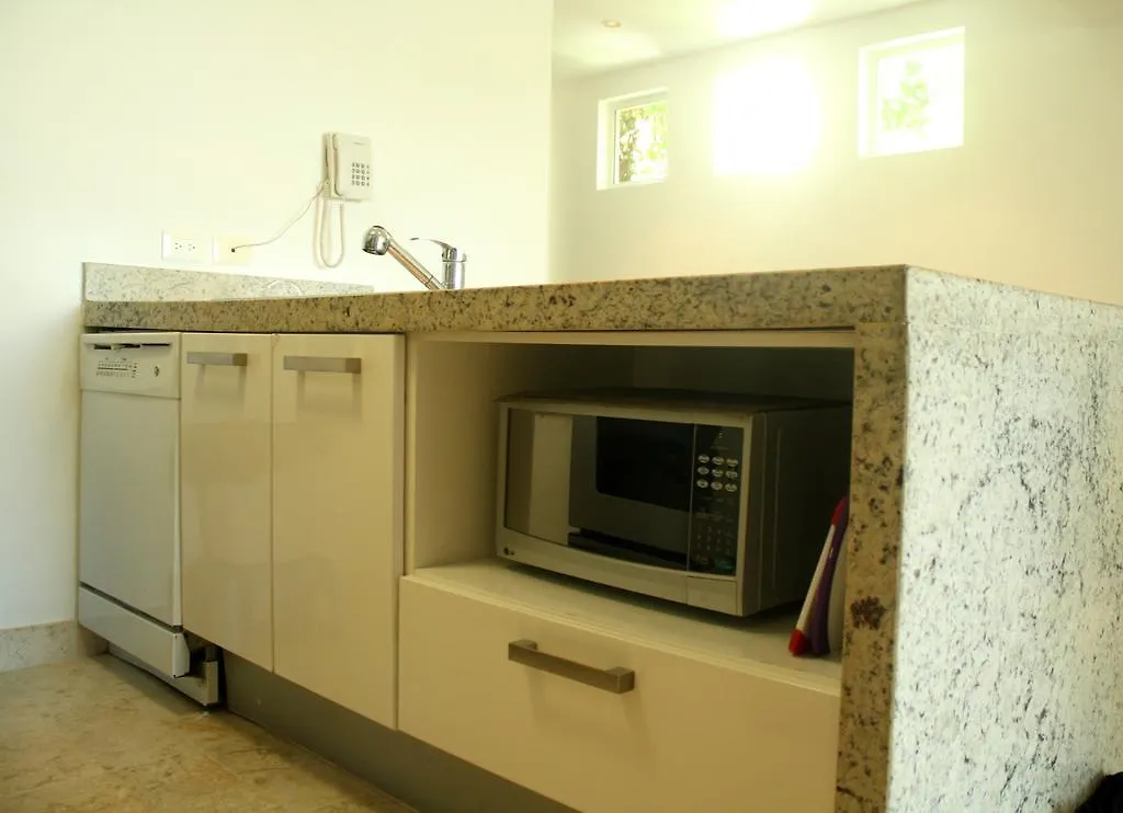 פלאייה דל כרמן The Elements Oceanfront & Beachside Condo Hotel